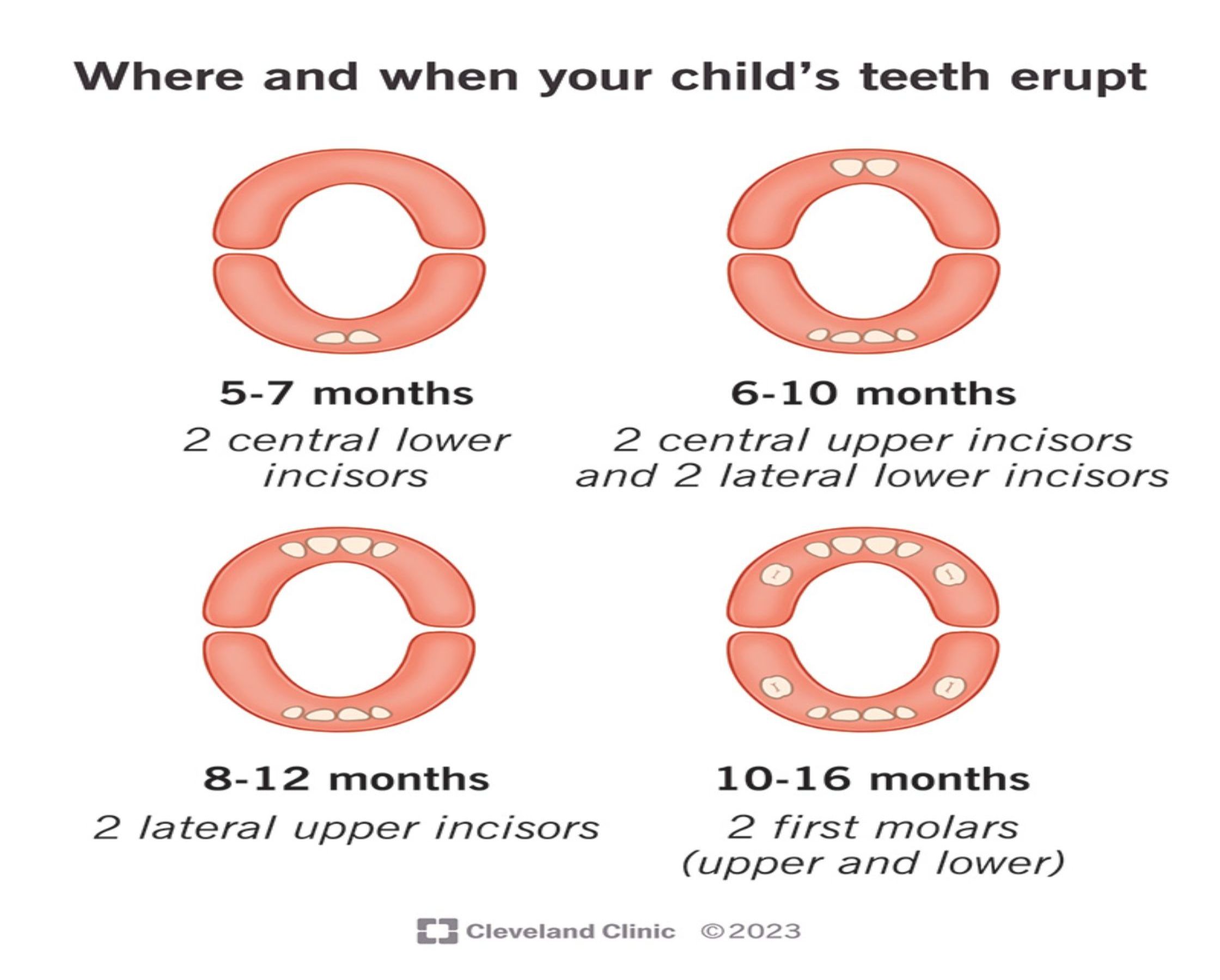 teething-in-babies-month-wise